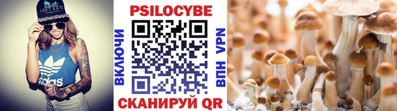 Галлюциногенные грибы GOLDEN TEACHER  наркотики  Новая Ладога 